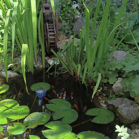 Idyllischer Ferienbungalow In Ruhiger Lage Mit Pool Und Grossen Garten Vakantiehuis